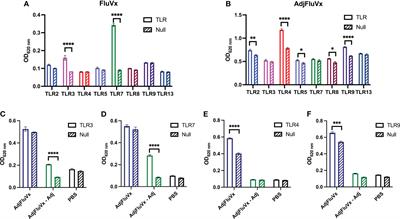 Seasonal influenza vaccines differentially activate and modulate toll-like receptor expression within the tumor microenvironment